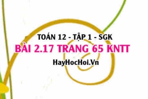 Bài 2.17 trang 65 Toán 12 tập 1 Kết nối tri thức